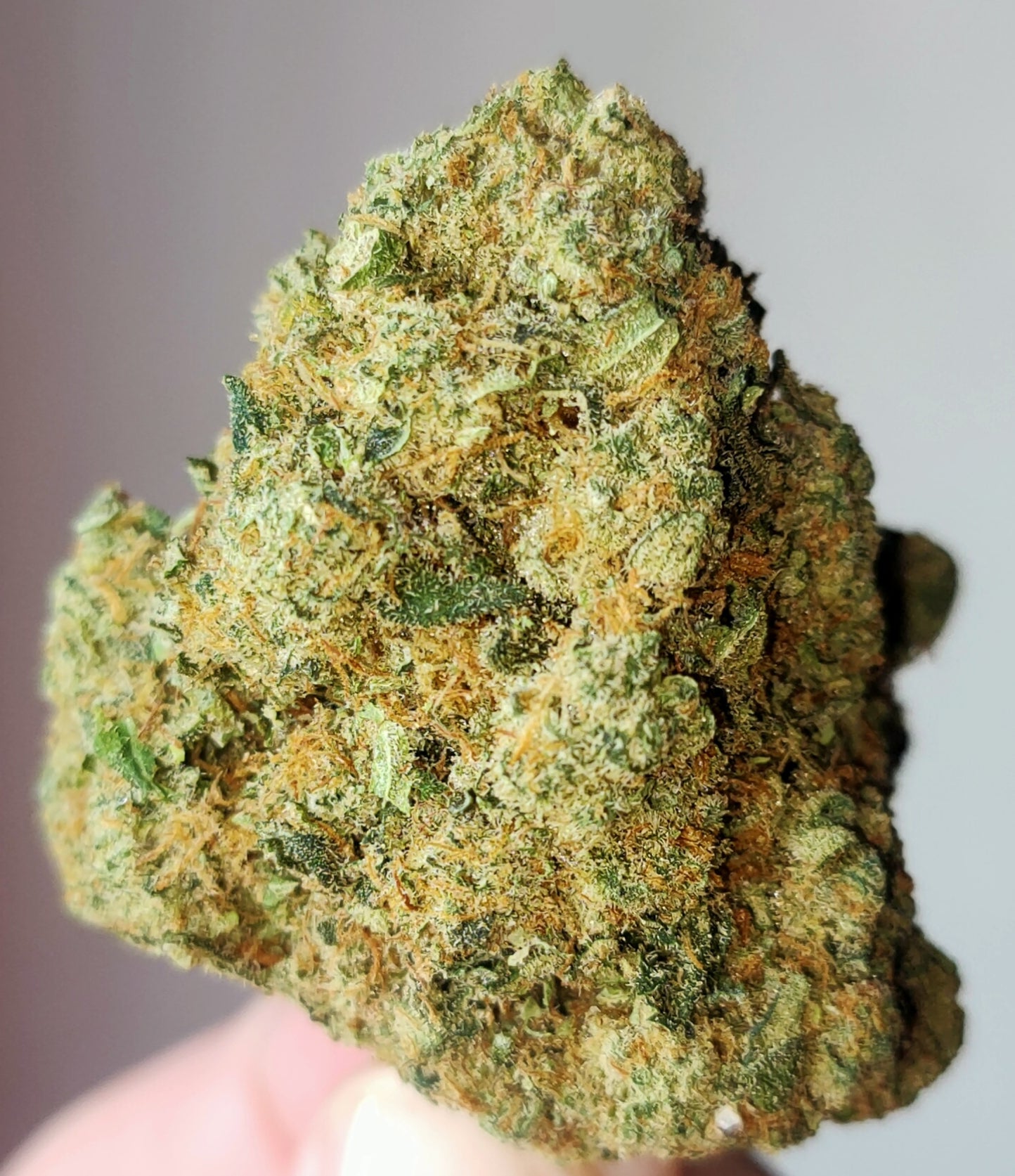 Amnesia Haze Hydro