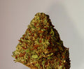OG Kush