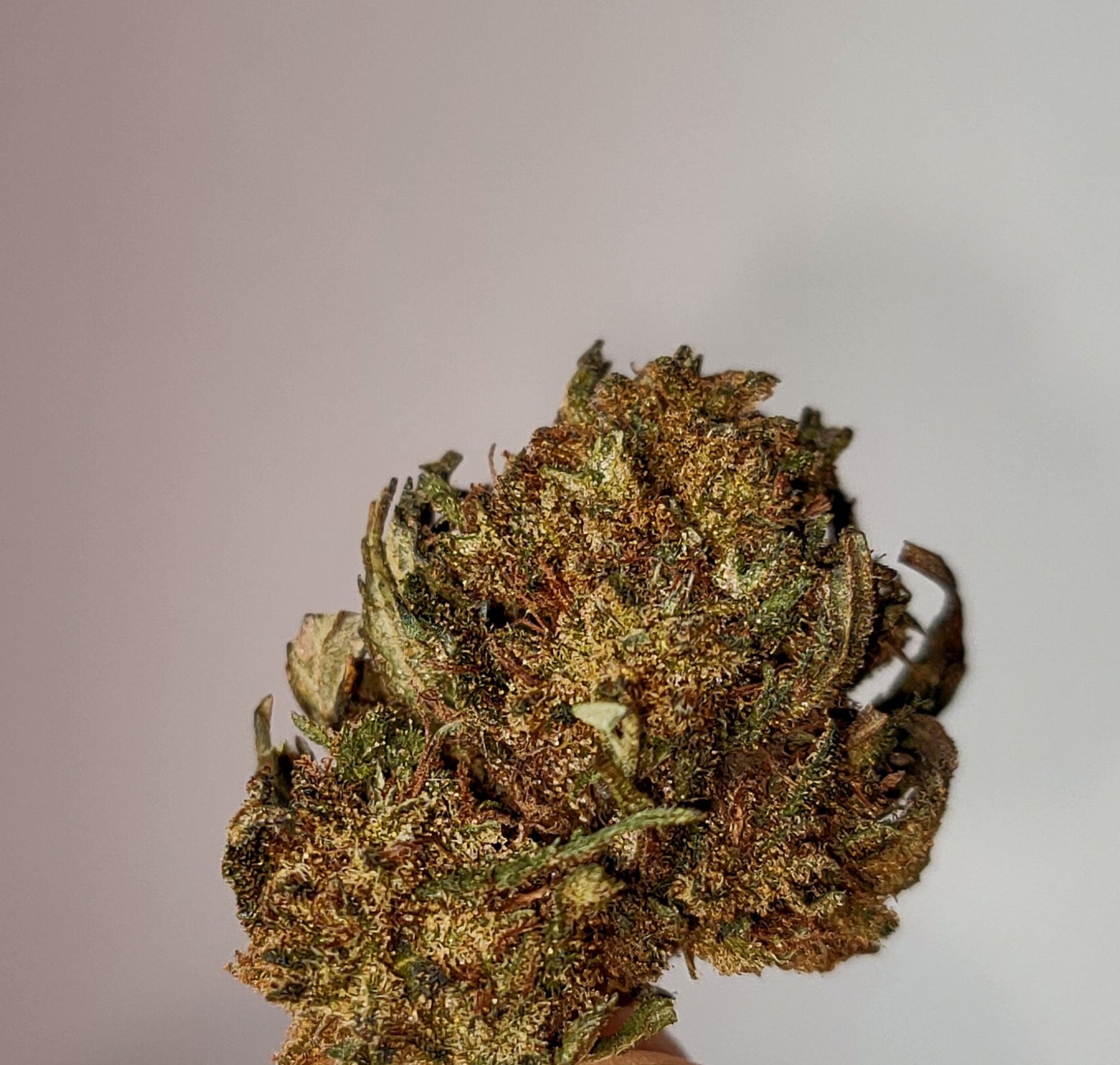 Super Skunk